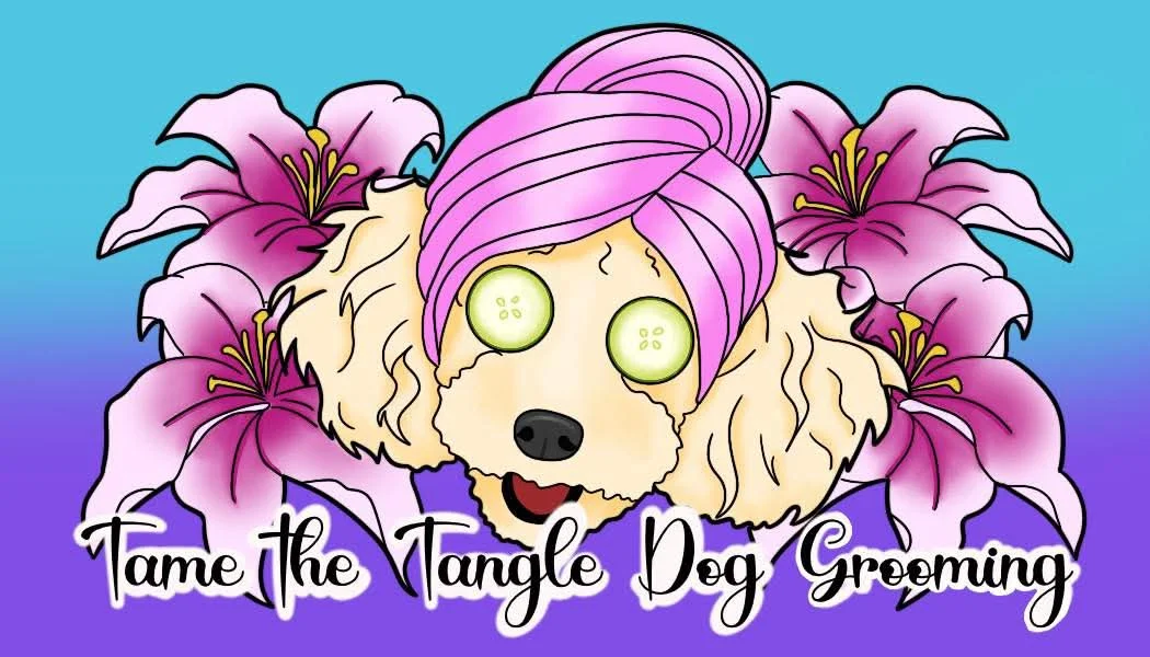 Tame the Tangle Logo