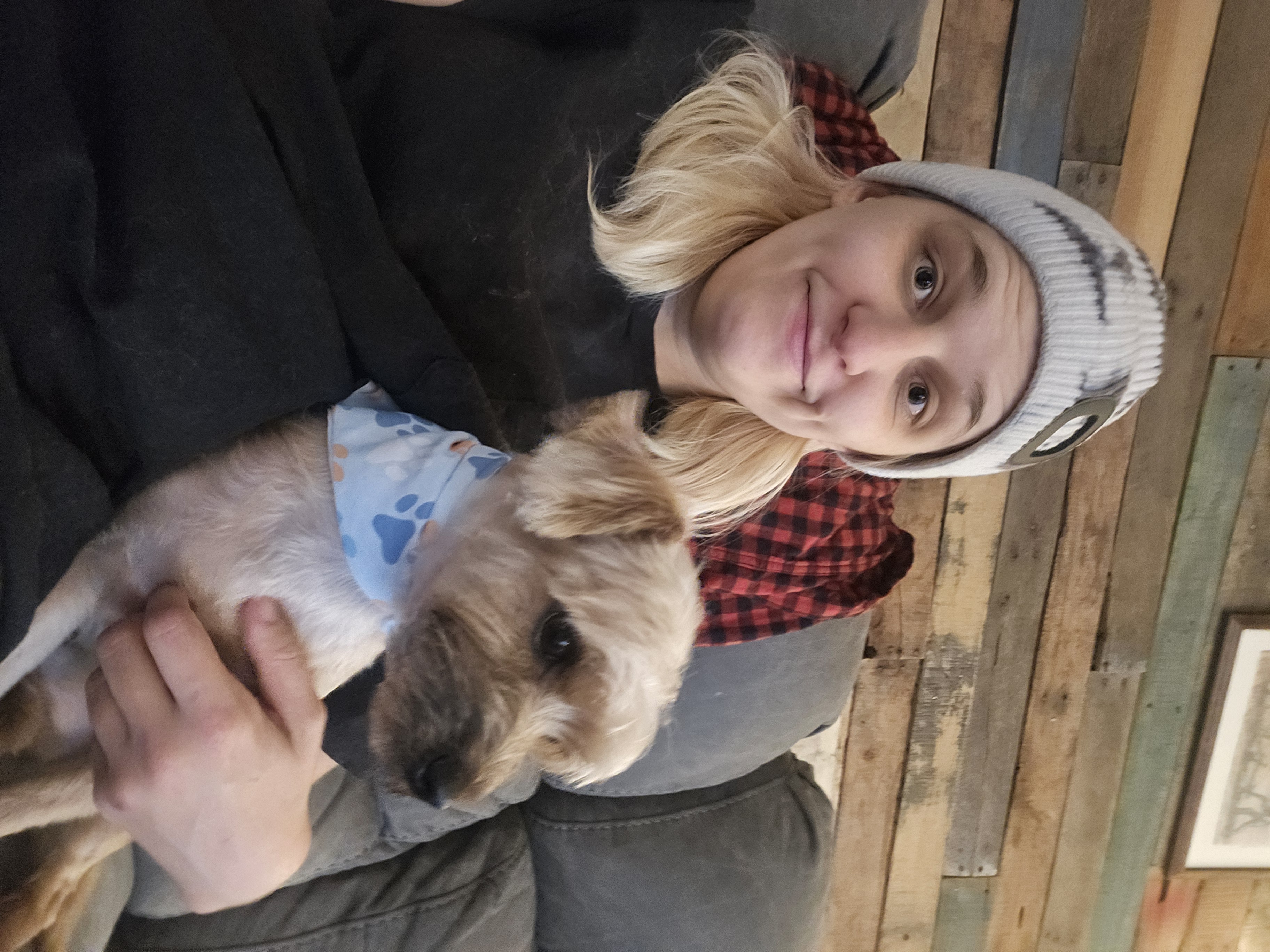 Yorkie Mix After Grooming